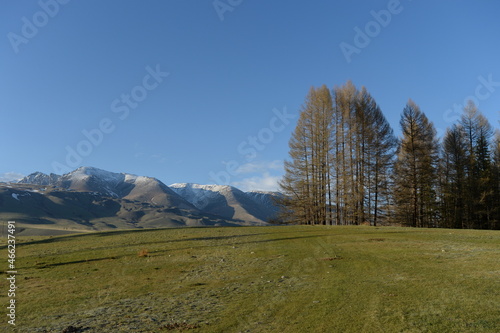 View of the North Chui mountain snow-covered ridge from the Kurai steppe. Gorny Altai, Kosh-Agachsky district, Russia photo