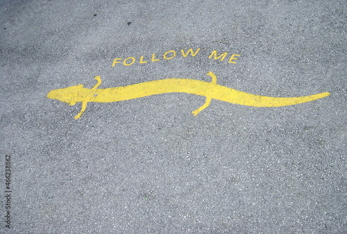 Yellow markings with an olm and the words 