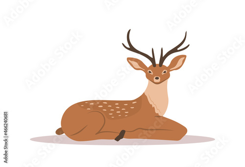 Stylized noble sika deer. Lying reindeer with antlers on white background. Ruminant mammal animal. Vector illustration in flat cartoon style.