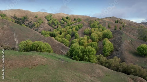 Aerial: Rural farmland hills and trees in autumn time, Waimarama, Hawkes Bay, New Zealand photo