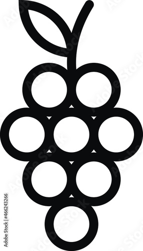 grape icon vector