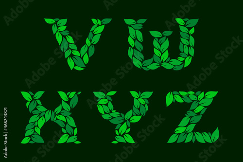 Letters V, W, X, Y, Z made of green leaves. Stock vector illustration for your logo design.
