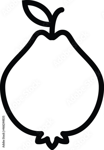 guava line art icon vector