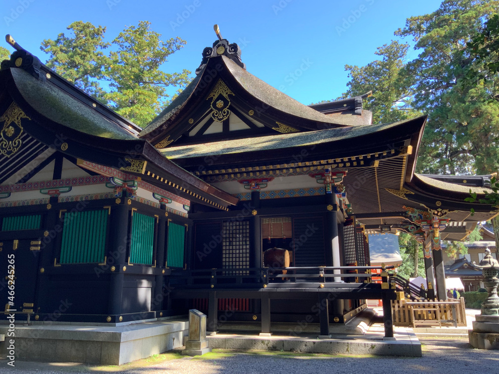 Fototapeta premium Shinto Shrine