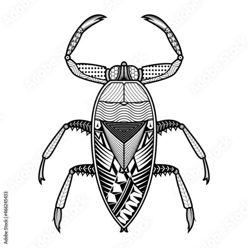Vector giant water bug of coloring book