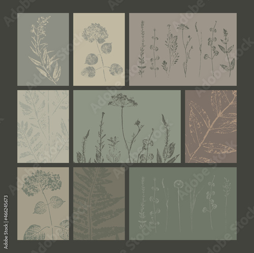 collection of vector  floral cards in earth tone