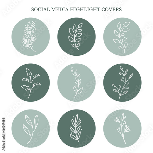 Set of social media highlight cover icons with hand drawn leaves and branches.