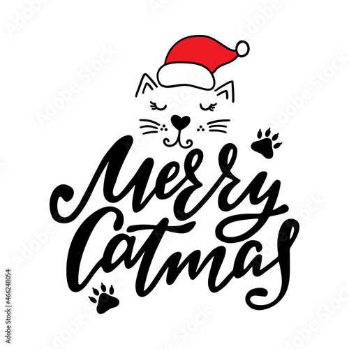 Merry Catsmas lettering vector illustration. photo