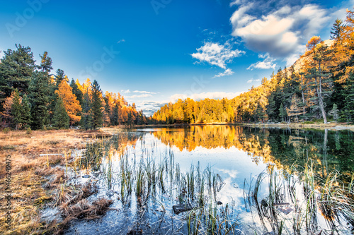 Small lake in the forest in autumn