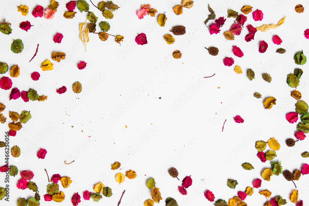 Colorful flowers leaves on a white background. 