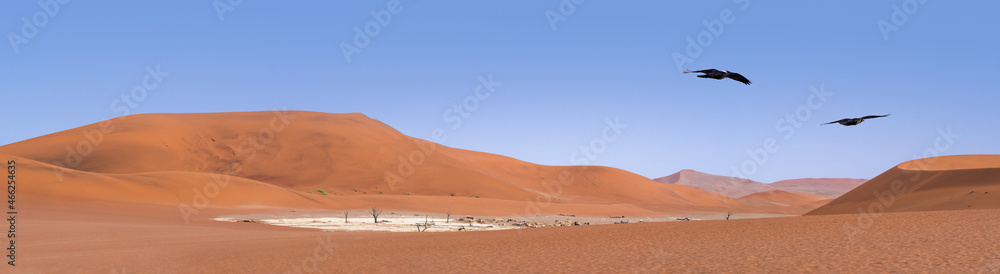 Namibia landscape with biggest sand dune in Dead Valley. Panorama with sandy dunes and dead trees in the Sossusvlei Nature Park of the Namib Desert.