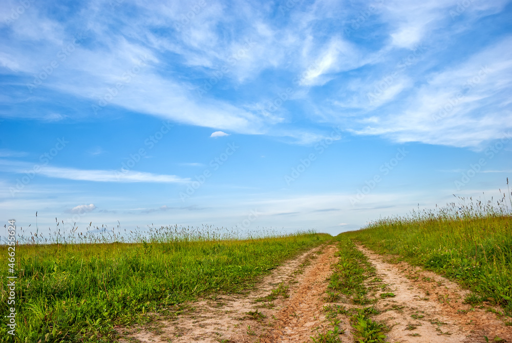 Field and dirt road, going beyond the horizon against the background of a blue sky with clouds.