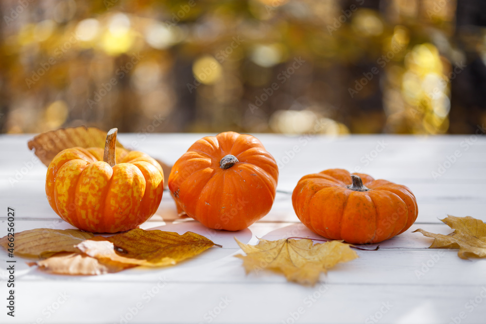 Autumn background with pumpkins, leaves and on white table Autumn background with pumpkins, leaves and on white table