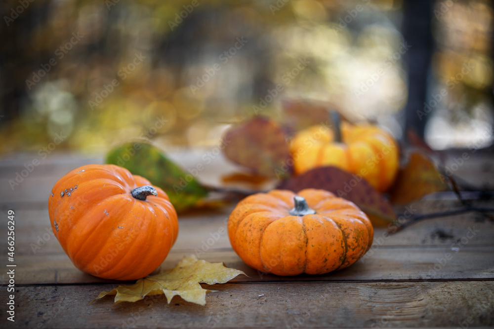 Pumpkins, leaves and autumn background on wooden table Pumpkins, leaves and autumn background on wooden table