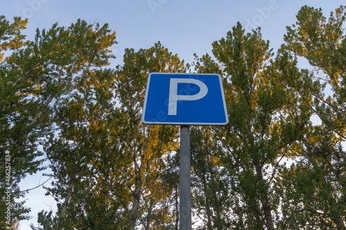 Road sign Parking on the background of the blue sky and tall trees in the rays of the setting sun