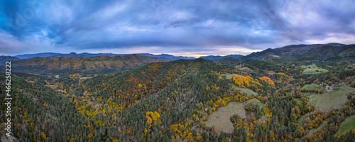 Forest changing colours in the Alpes deHaute Provence in France during autumn