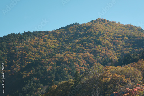 秋の紅葉した高瀬渓谷 © apiox