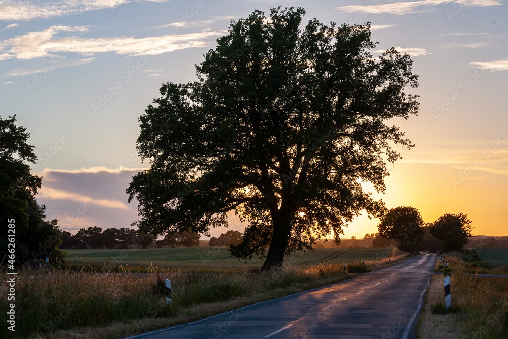Fototapeta premium Warmes Sonnenlicht über der Landschaft an einem Sommerabend