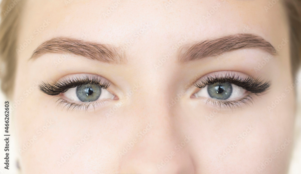 Fototapeta premium A girl with beautiful green eyes, artificial black eyelashes. Close-up of the eyes. Eyelash extensions. L-bend