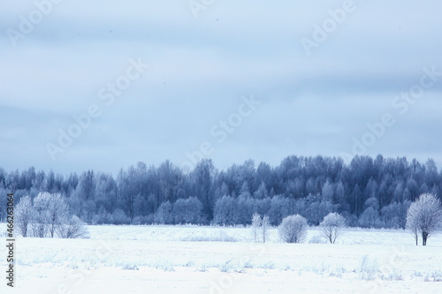 Russian village in winter, landscape in January snowfall, village houses © kichigin19