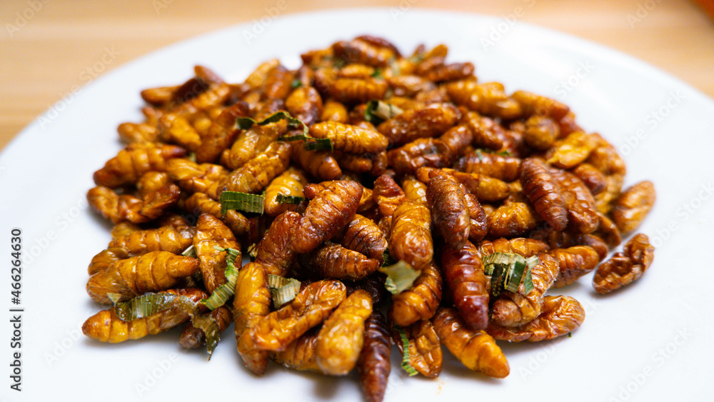 Silkworm pupa fried, street food at Thailand , Close-up Oily taste and salty silkworms