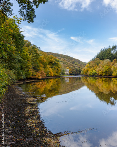 Fototapeta Naklejka Na Ścianę i Meble -  Autumn reflections on the River Lerryn at Lerryn Cornwall