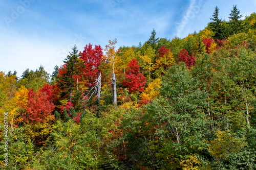 北海道秋の風景 十勝岳連峰の紅葉