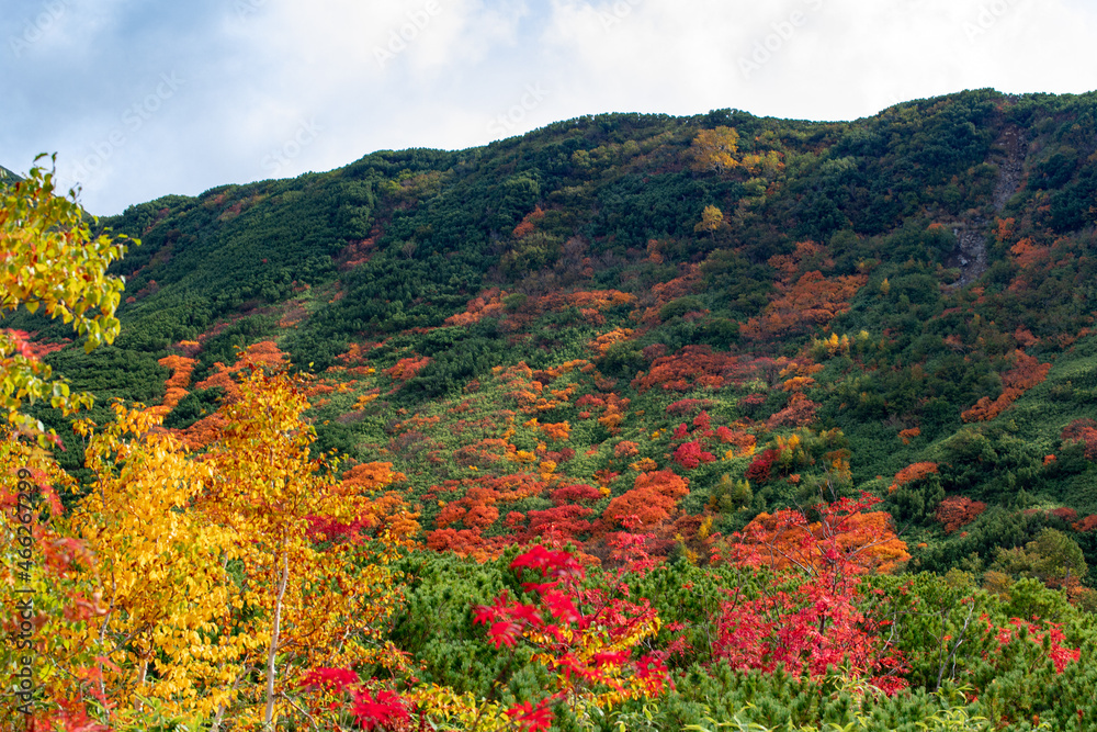 北海道秋の風景 十勝岳連峰の紅葉 北海道秋の風景 十勝岳連峰の紅葉