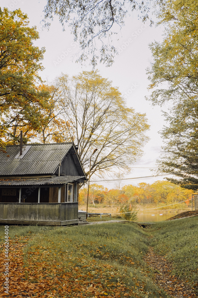 old wooden house abandoned in autumn forest. vertically, selective focus old wooden house abandoned in autumn forest. vertically, selective focus