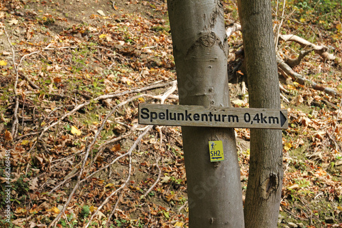 hiking in the autumn pyrmonter forest, around the Spelunkenturm