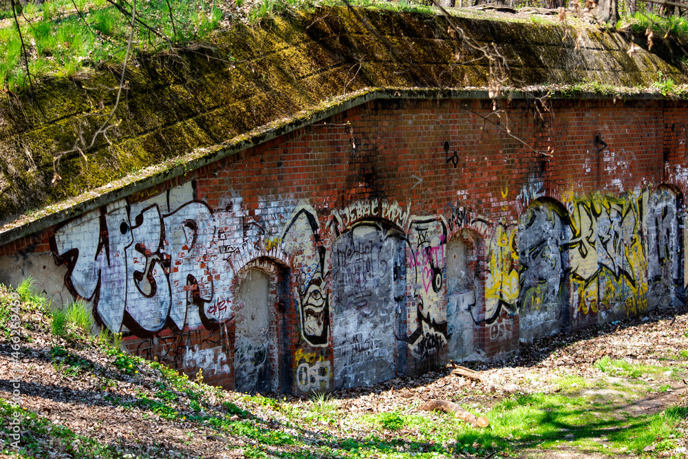 grafitii