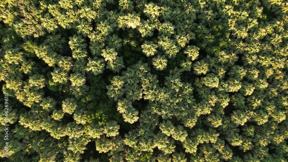 overlook photograph of the island
l shoot a drone from the air
