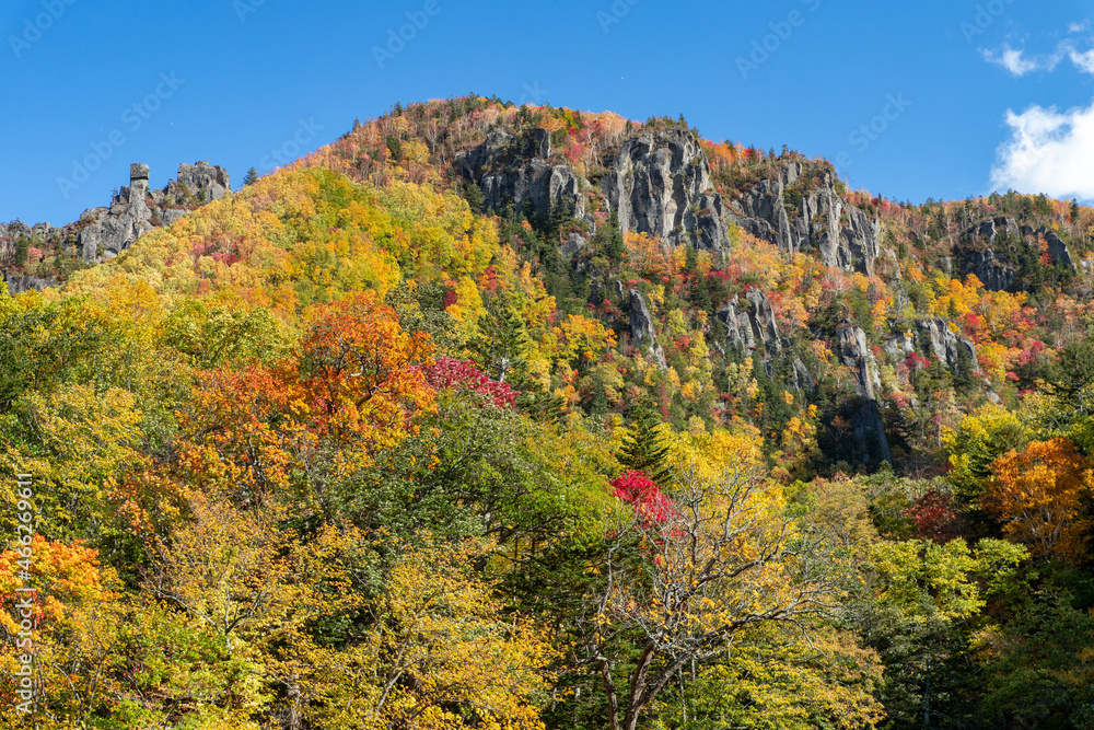 北海道秋の風景　層雲峡の紅葉