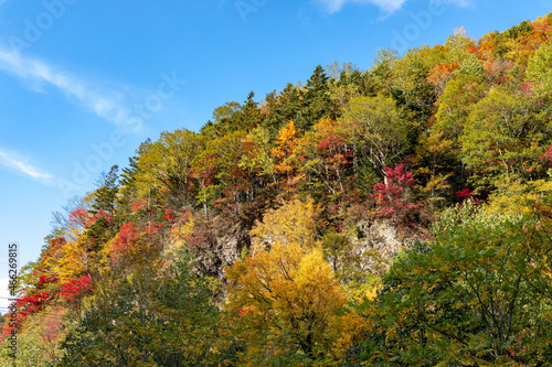 北海道秋の風景 層雲峡の紅葉