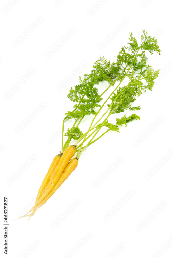 Obraz premium Bunch of fresh baby carrots isolated on white background