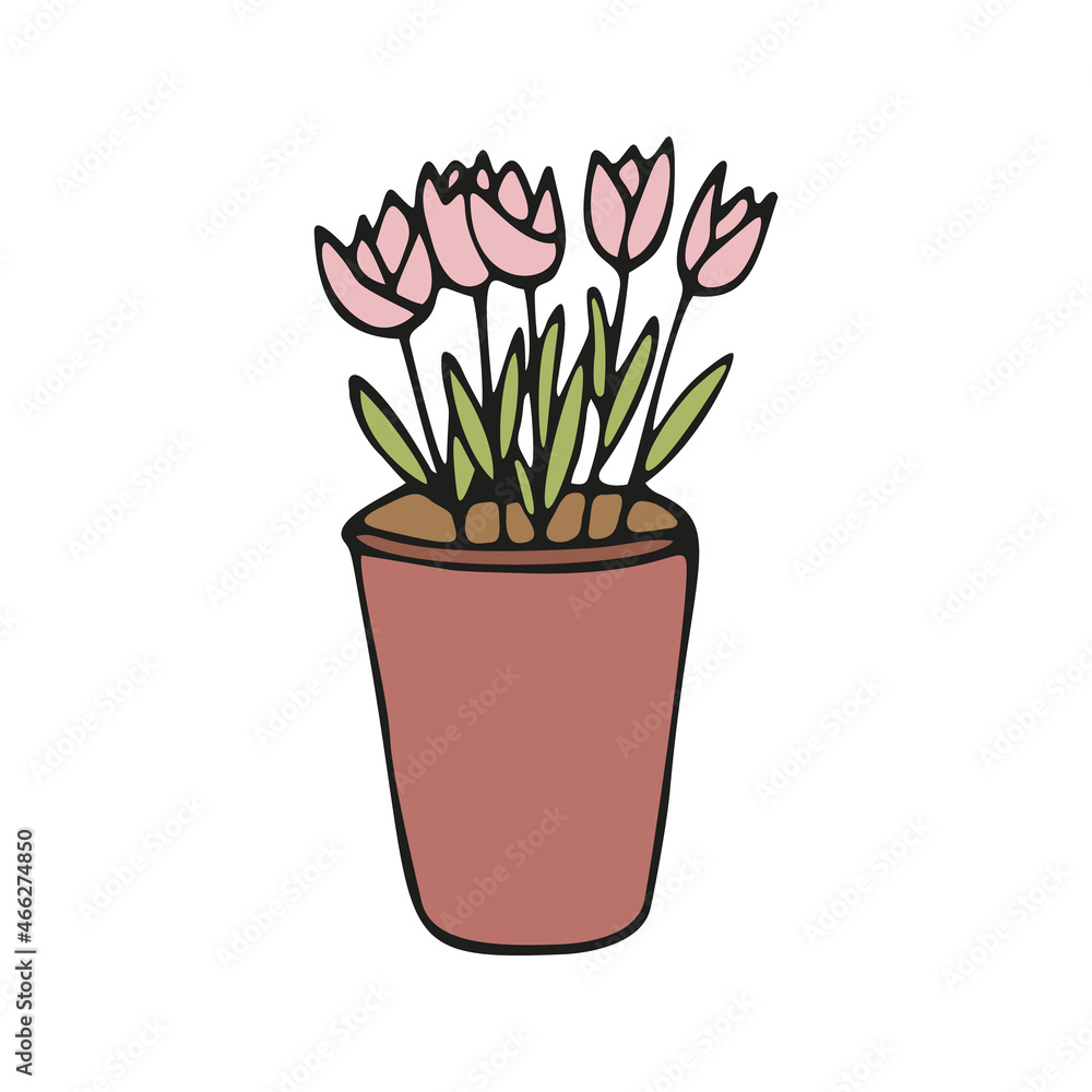 Cute hand drawn element of flower pot. Doodle vector illustration house plants