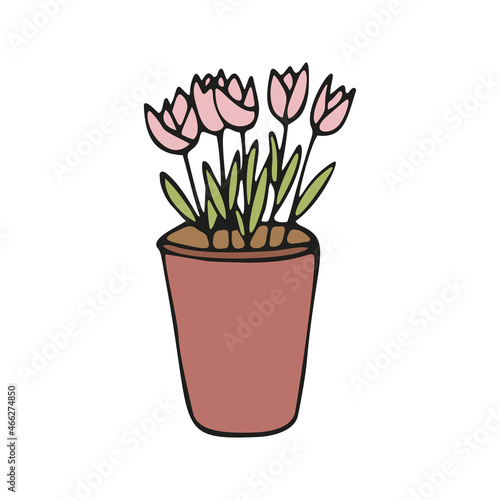 Cute hand drawn element of flower pot. Doodle vector illustration house plants
