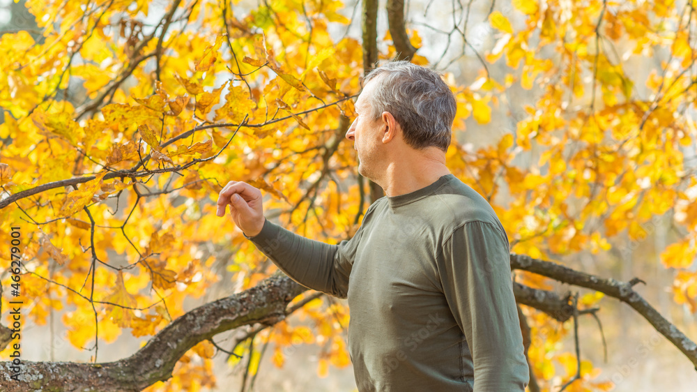 Mature European older man at nature, philosophical portrait, at autumn park Mature European older man at nature, philosophical portrait, at autumn park
