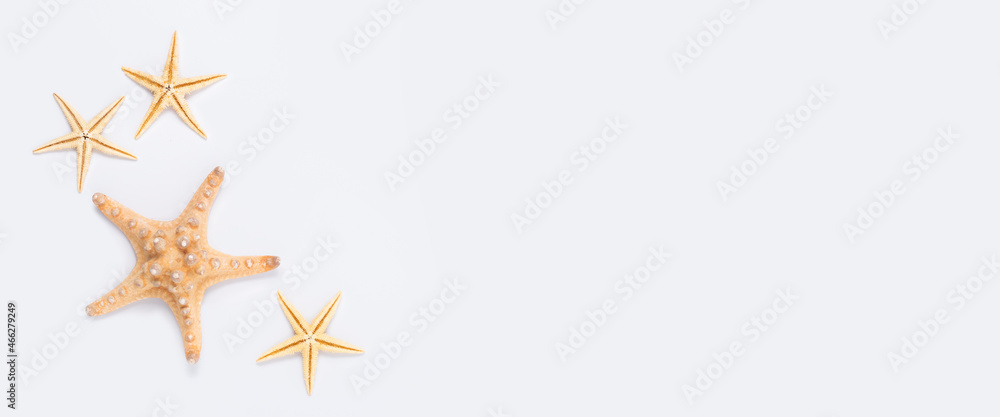 Beautiful starfish on a white background. Top view, flat lay. Banner Beautiful starfish on a white background. Top view, flat lay. Banner