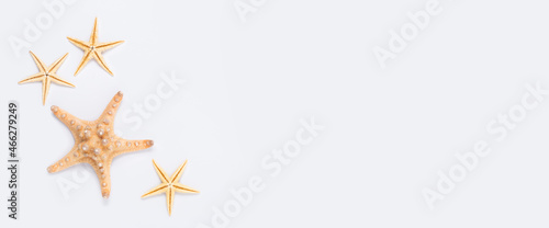 Beautiful starfish on a white background. Top view, flat lay. Banner