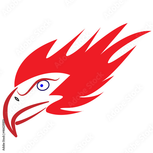 eagle head vector illustration design concept