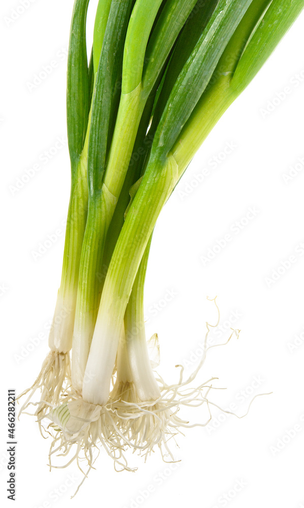 Fresh onion Fresh onion
