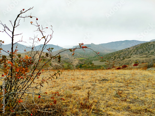 autumn field and mountains