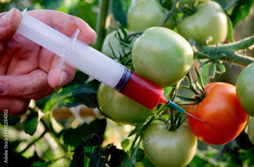 фотографія Representation of genetically modified food