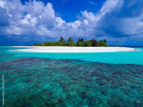 Coral Reef - The Maldives © mrallen