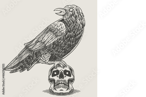 illustration vintage crow bird engraving style
