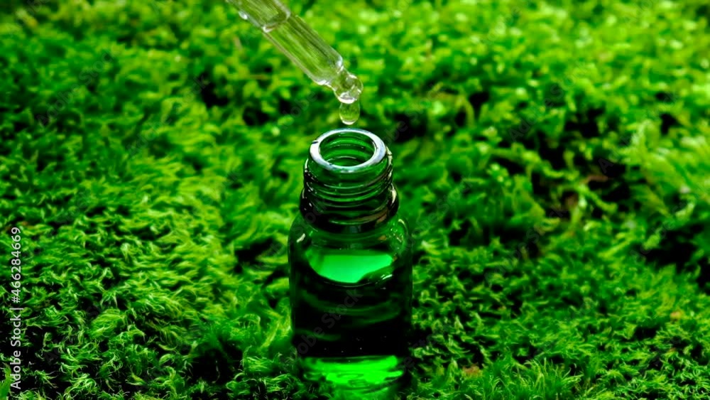 Cosmetics in a bottle on Moss. Natural cosmetic. Cosmetics in a bottle on Moss. Natural cosmetic.
