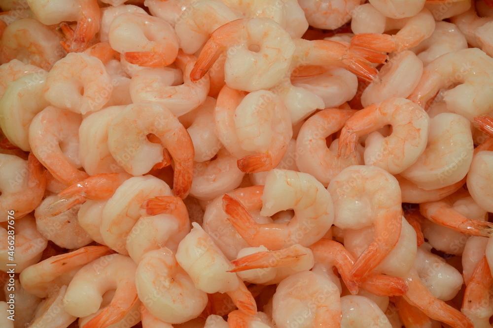 Fresh shrimps on Akko market. Akko(Acre), Israel. Fresh shrimps on Akko market. Akko(Acre), Israel.