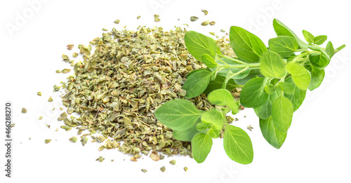 Oregano or marjoram herbs  isolated on white background. Fresh and dried oregano spice