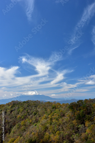 富士山と紅葉（日本の秋 丹沢・塔ノ岳／鍋割山の道）